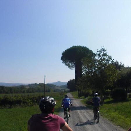 Podere Ripi Volterra Exterior photo