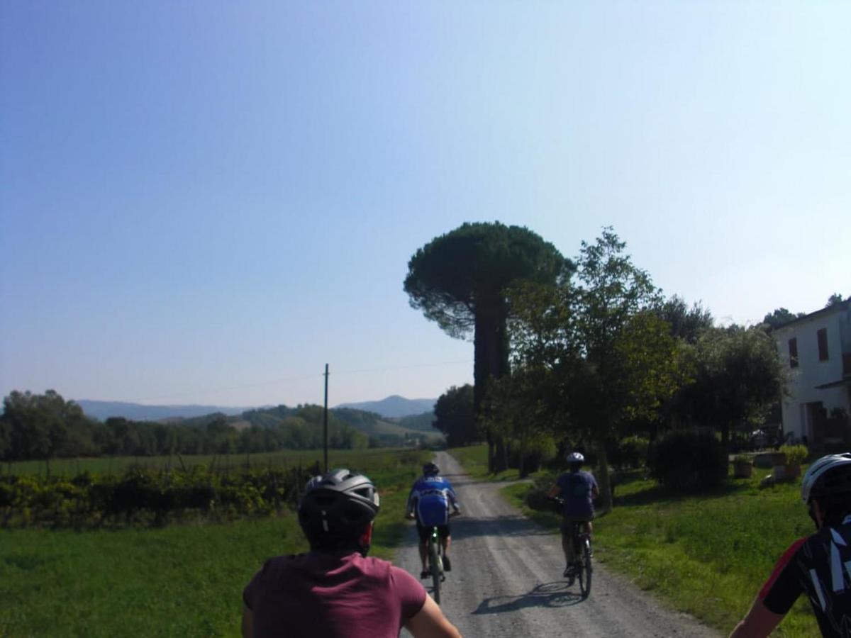 Podere Ripi Volterra Exterior photo