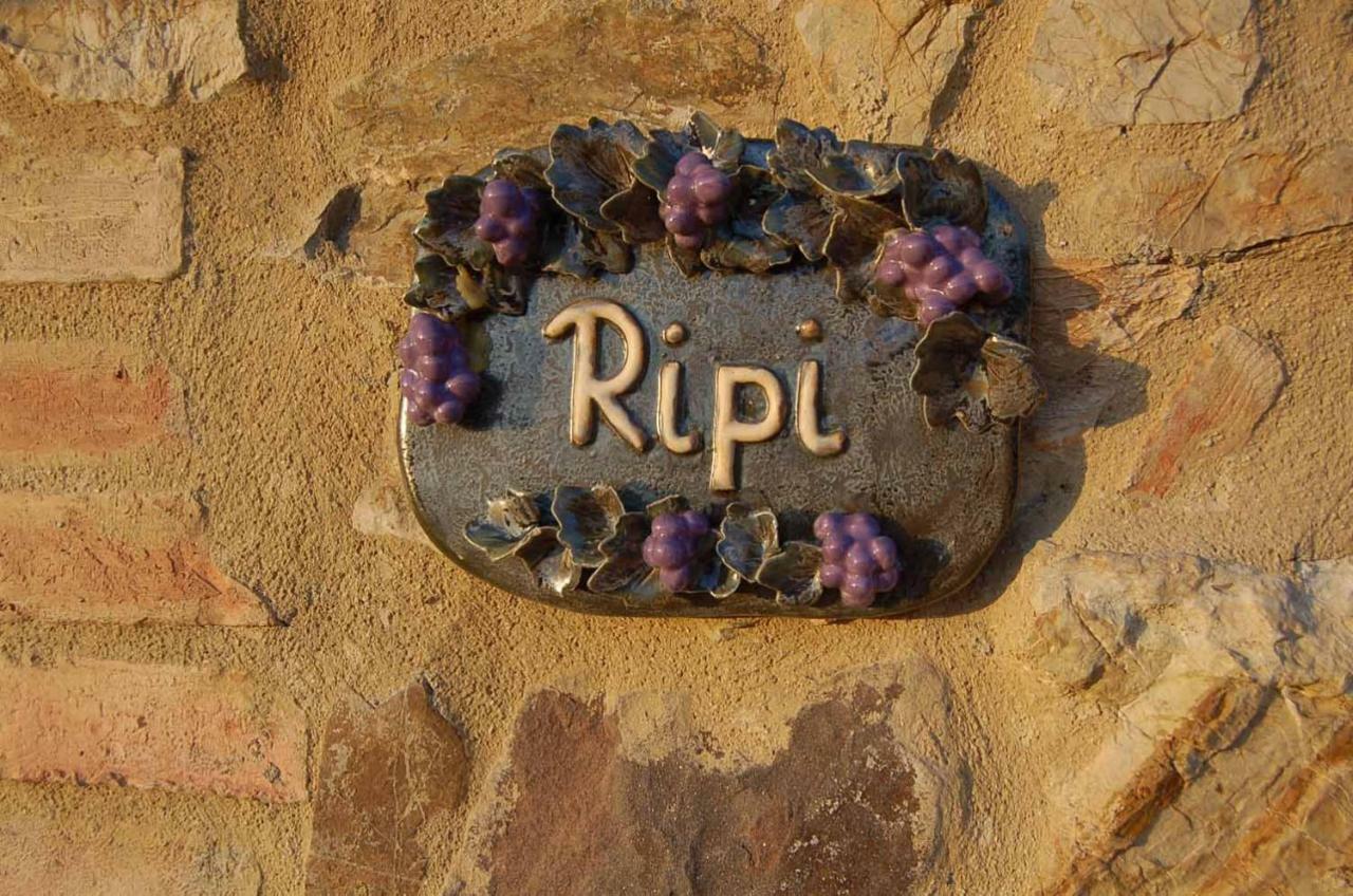 Podere Ripi Volterra Exterior photo