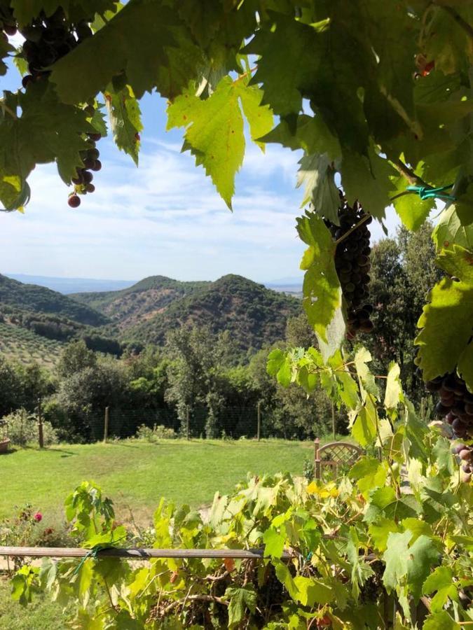 Podere Ripi Volterra Exterior photo